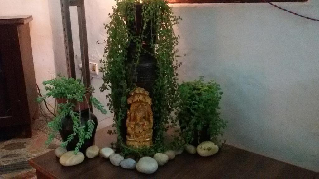Hotel Sukhsadan 德拉敦 外观 照片
